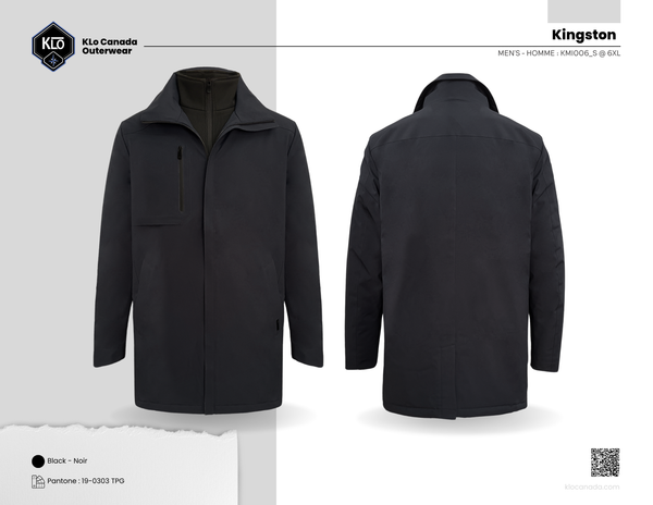 Kingston 2 in 1 Professional